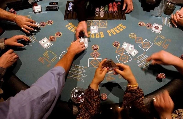 Casino Community: Where Gamers Connect and Prosper