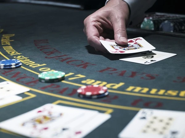Calculating the Odds: Empowering Your Casino Choices with Knowledge