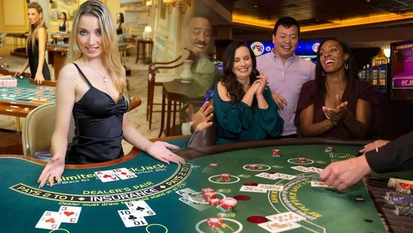 How to Choose the Most Suitable Live Casino Table
