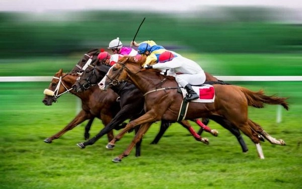 Horse Racing Betting: Tips for Successful Horse Racing Bets